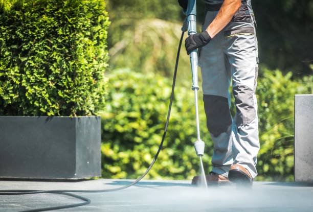 Best Building Exterior Washing  in Northfield, MN